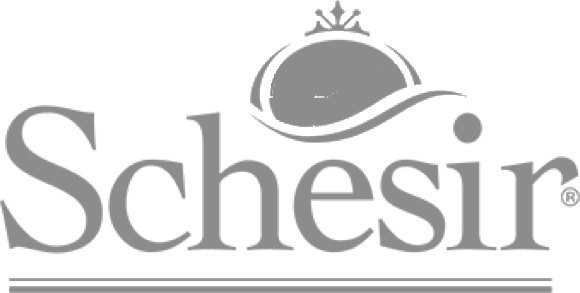 Schesir