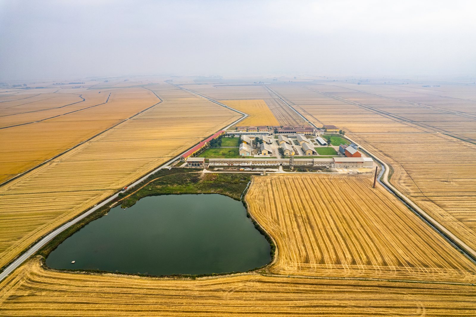 Cascina tra le risaie vista dal drone