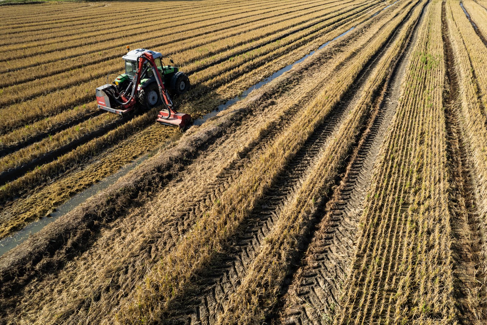 Trattore al lavoro in un campo, vista dal drone