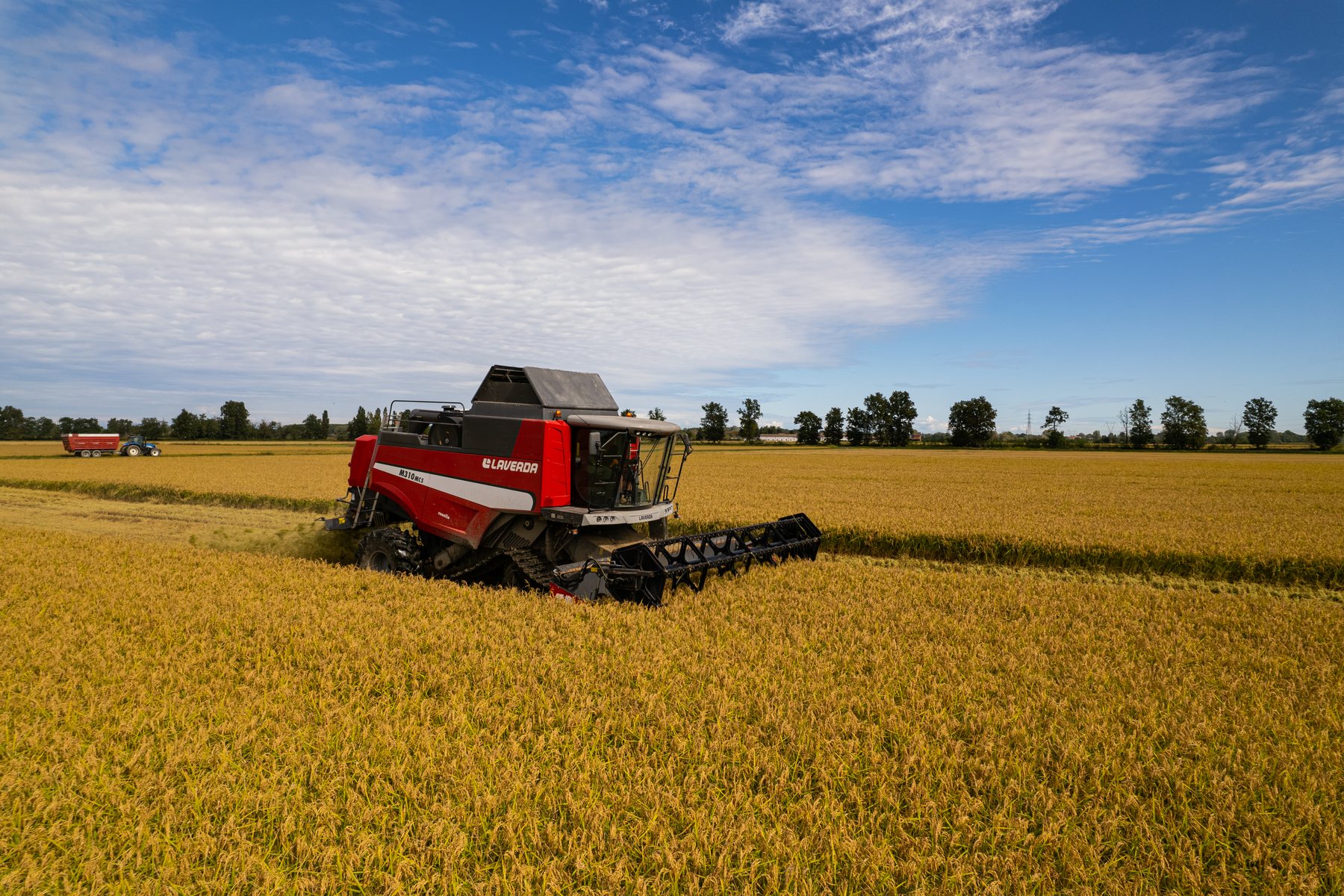 Mietitrebbia in un campo di cereali, vista dal drone