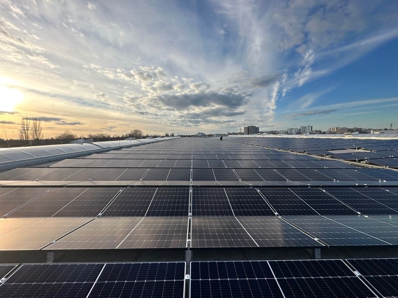 Impianto fotovoltaico LONGi sotto un cielo al tramonto