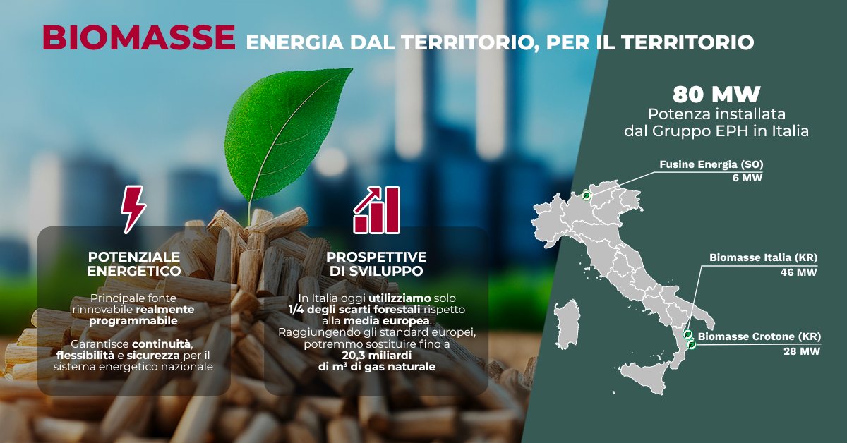 Infografica sulle biomasse: energia dal territorio, per il territorio